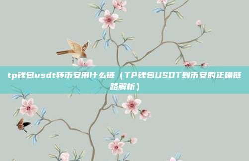 tp钱包usdt转币安用什么链（TP钱包USDT到币安的正确链路解析）