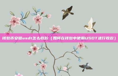 钱包币安链usdt怎么收款（如何在钱包中使用USDT进行收款）