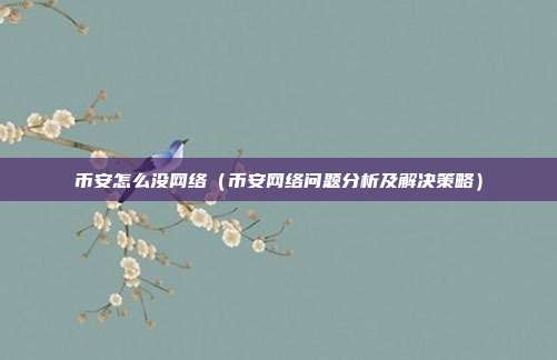 币安怎么没网络（币安网络问题分析及解决策略）