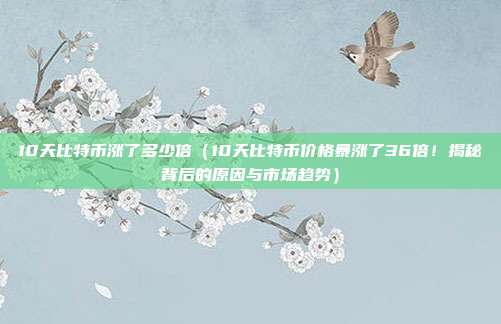 10天比特币涨了多少倍（10天比特币价格暴涨了36倍！揭秘背后的原因与市场趋势）