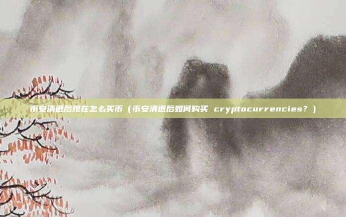 币安清退后现在怎么买币（币安清退后如何购买 cryptocurrencies？）