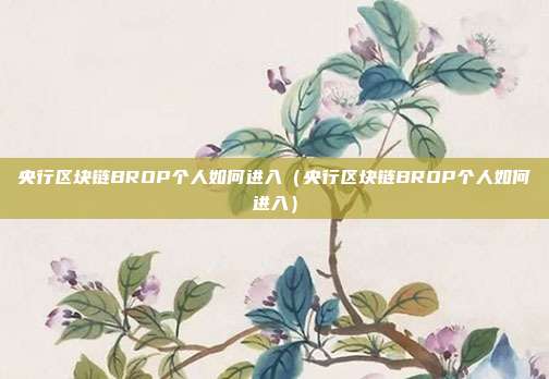 央行区块链BROP个人如何进入（央行区块链BROP个人如何进入）