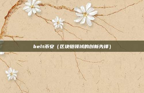 belt币安（区块链领域的创新先锋）