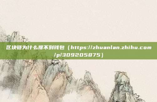 区块链为什么搜不到钱包（https://zhuanlan.zhihu.com/p/309205875）