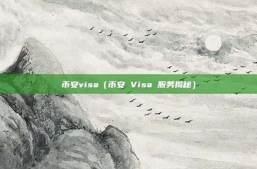 币安visa（币安 Visa 服务揭秘）