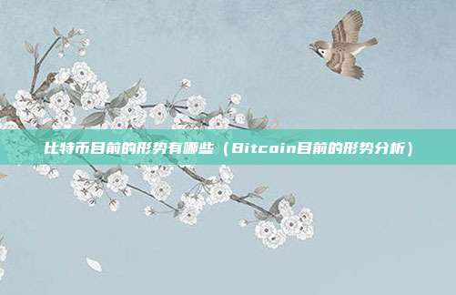 比特币目前的形势有哪些（Bitcoin目前的形势分析）