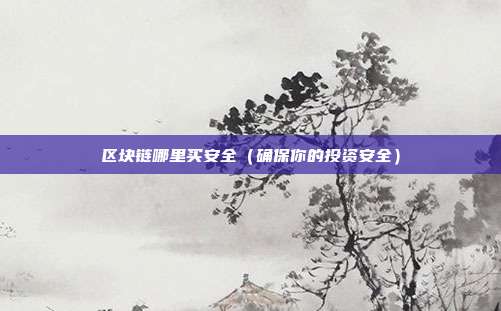 区块链哪里买安全（确保你的投资安全）