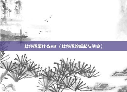 比特币是什么s9（比特币的崛起与演变）