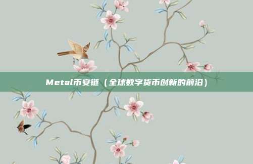 Metal币安链（全球数字货币创新的前沿）