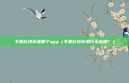 手机比特币是哪个app（手机比特币是什么应用？）