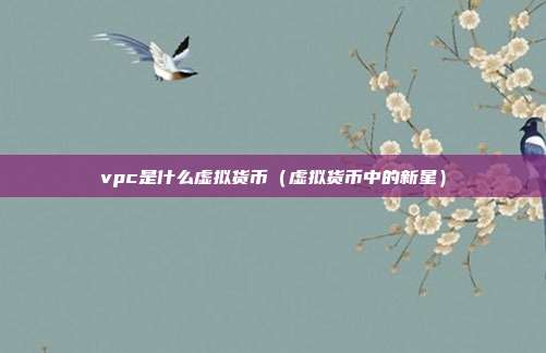 vpc是什么虚拟货币（虚拟货币中的新星）