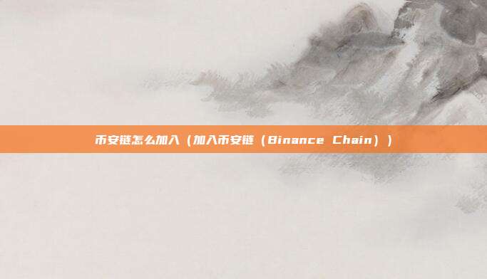 币安链怎么加入（加入币安链（Binance Chain））