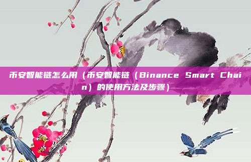 币安智能链怎么用（币安智能链（Binance Smart Chain）的使用方法及步骤）