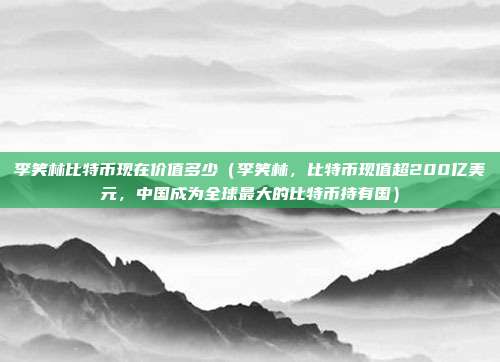 李笑林比特币现在价值多少（李笑林，比特币现值超200亿美元，中国成为全球最大的比特币持有国）