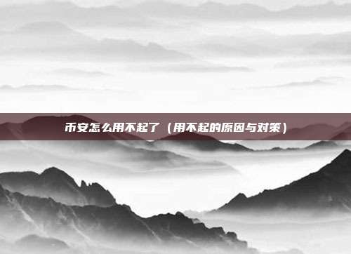 币安怎么用不起了（用不起的原因与对策）