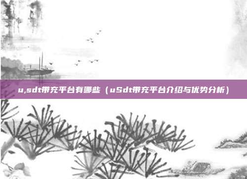 u,sdt带充平台有哪些（uSdt带充平台介绍与优势分析）