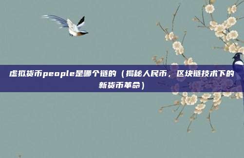 虚拟货币people是哪个链的（揭秘人民币，区块链技术下的新货币革命）