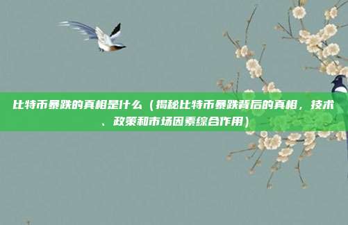 比特币暴跌的真相是什么（揭秘比特币暴跌背后的真相，技术、政策和市场因素综合作用）