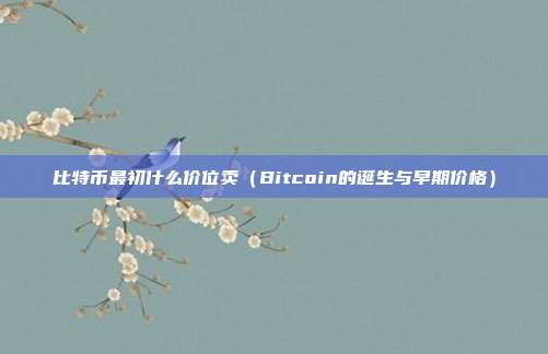 比特币最初什么价位卖（Bitcoin的诞生与早期价格）