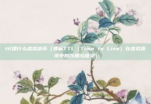 ttl是什么虚拟货币（理解TTL（Time to Live）在虚拟货币中的作用与意义）