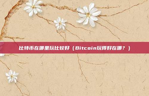 比特币在哪里玩比较好（Bitcoin玩得好在哪？）