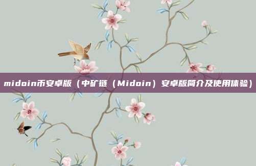 midoin币安卓版（中矿链（Midoin）安卓版简介及使用体验）