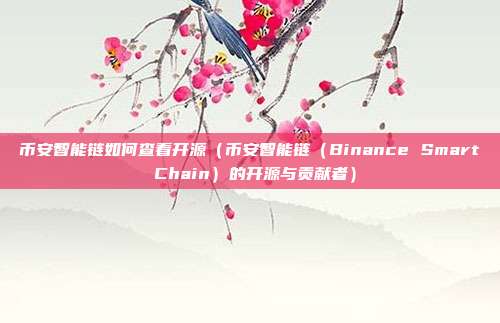 币安智能链如何查看开源（币安智能链（Binance Smart Chain）的开源与贡献者）