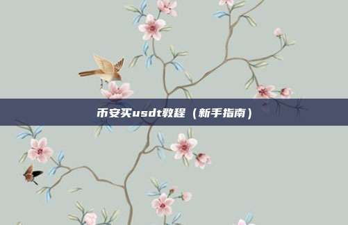 币安买usdt教程（新手指南）