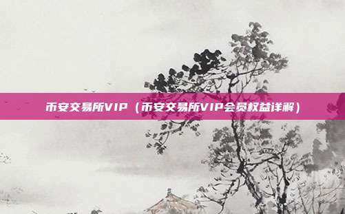 币安交易所VIP（币安交易所VIP会员权益详解）