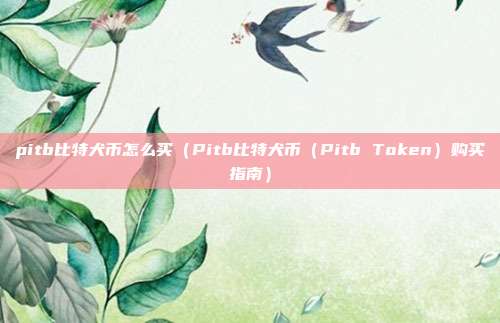 pitb比特犬币怎么买（Pitb比特犬币（Pitb Token）购买指南）