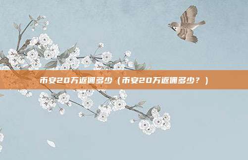 币安20万返佣多少（币安20万返佣多少？）