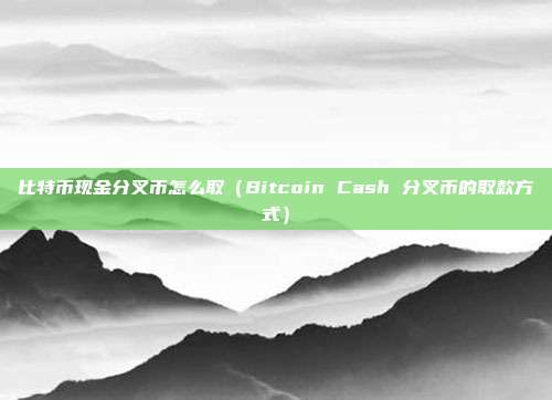 比特币现金分叉币怎么取（Bitcoin Cash 分叉币的取款方式）