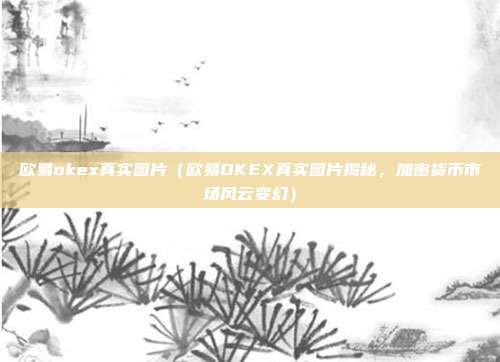 欧易okex真实图片（欧易OKEX真实图片揭秘，加密货币市场风云变幻）