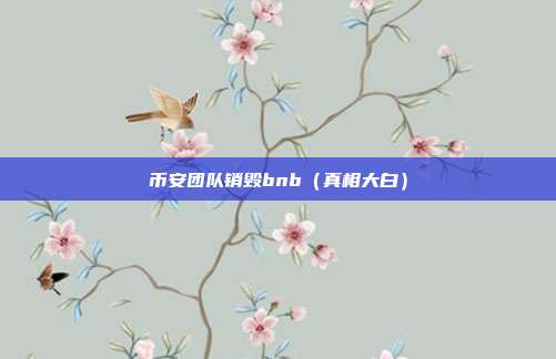 币安团队销毁bnb（真相大白）