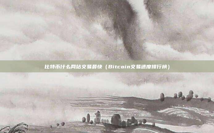 比特币什么网站交易最快（Bitcoin交易速度排行榜）