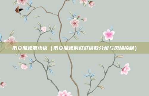 币安期权多少倍（币安期权的杠杆倍数分析与风险控制）