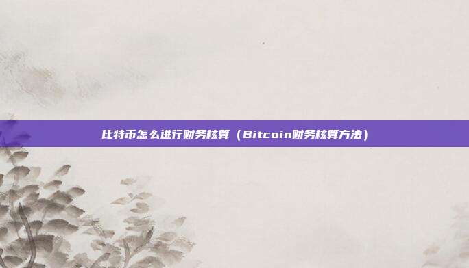 比特币怎么进行财务核算（Bitcoin财务核算方法）