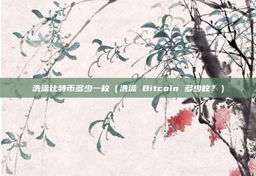 洗澡比特币多少一枚（洗澡 Bitcoin 多少枚？）