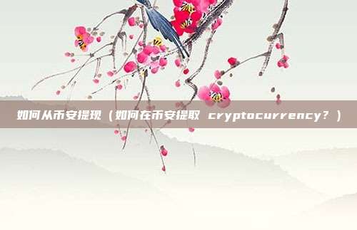 如何从币安提现（如何在币安提取 cryptocurrency？）