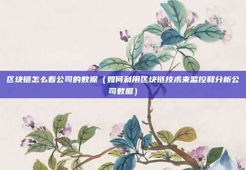 区块链怎么看公司的数据（如何利用区块链技术来监控和分析公司数据）