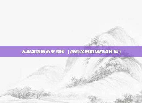 大型虚拟货币交易所（创新金融市场的催化剂）