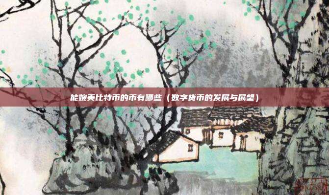 能媲美比特币的币有哪些（数字货币的发展与展望）