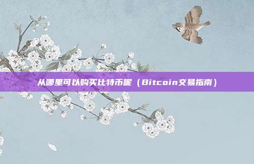 从哪里可以购买比特币呢（Bitcoin交易指南）