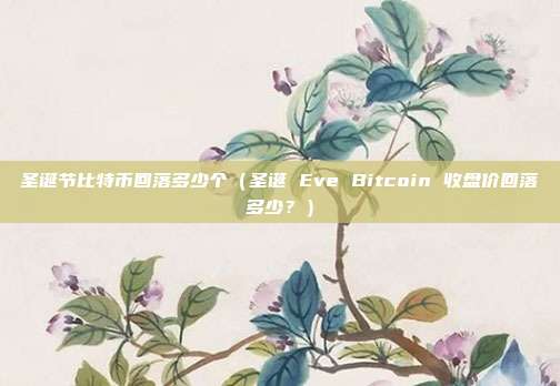 圣诞节比特币回落多少个（圣诞 Eve Bitcoin 收盘价回落多少？）