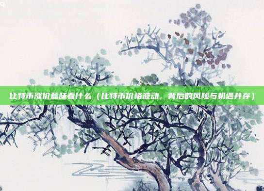 比特币涨价意味着什么（比特币价格波动，背后的风险与机遇并存）