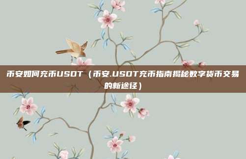 币安如何充币USDT（币安.USDT充币指南揭秘数字货币交易的新途径）