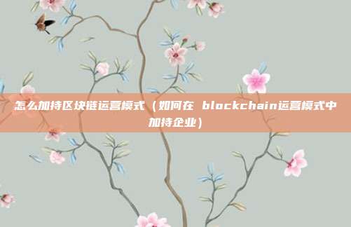 怎么加持区块链运营模式（如何在 blockchain运营模式中加持企业）