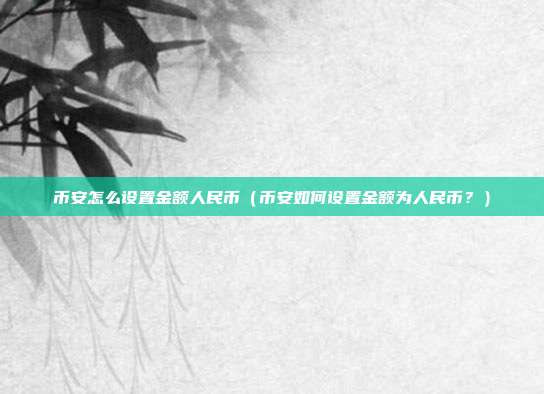 币安怎么设置金额人民币（币安如何设置金额为人民币？）