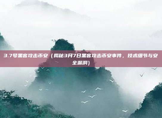 3.7号黑客攻击币安（揭秘3月7日黑客攻击币安事件，技术细节与安全漏洞）