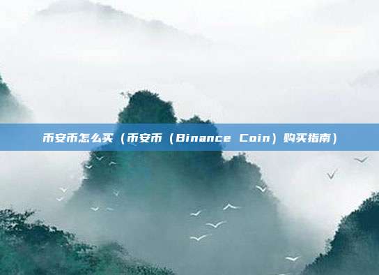 币安币怎么买（币安币（Binance Coin）购买指南）